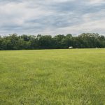 How do I determine the value of land for sale?