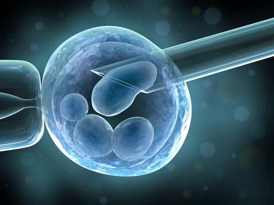 preimplantation genetic testing